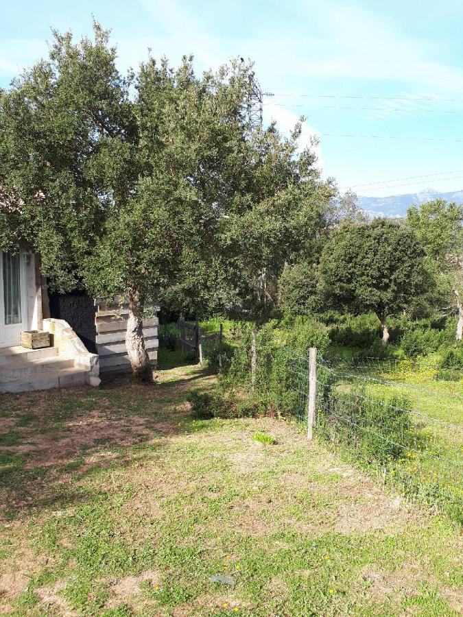 Villa Casa Gattu Porto-Vecchio  Exterior foto