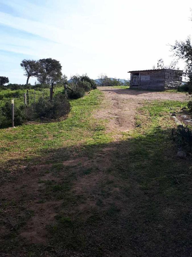 Villa Casa Gattu Porto-Vecchio  Exterior foto