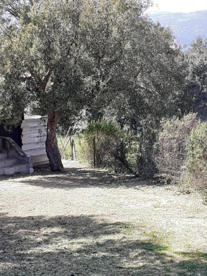Villa Casa Gattu Porto-Vecchio  Exterior foto